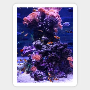 fish world Sticker